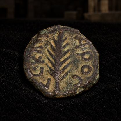Styled coin preview on black velvet with an illustrative historical background — Porcius Festus Judaean Bronze Prutah — NGC