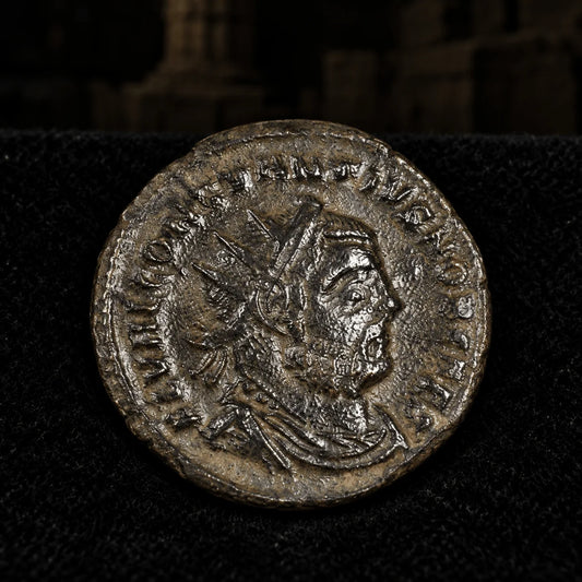 Constantius I Antoninianus — NGC Certified - Kinzer Coins