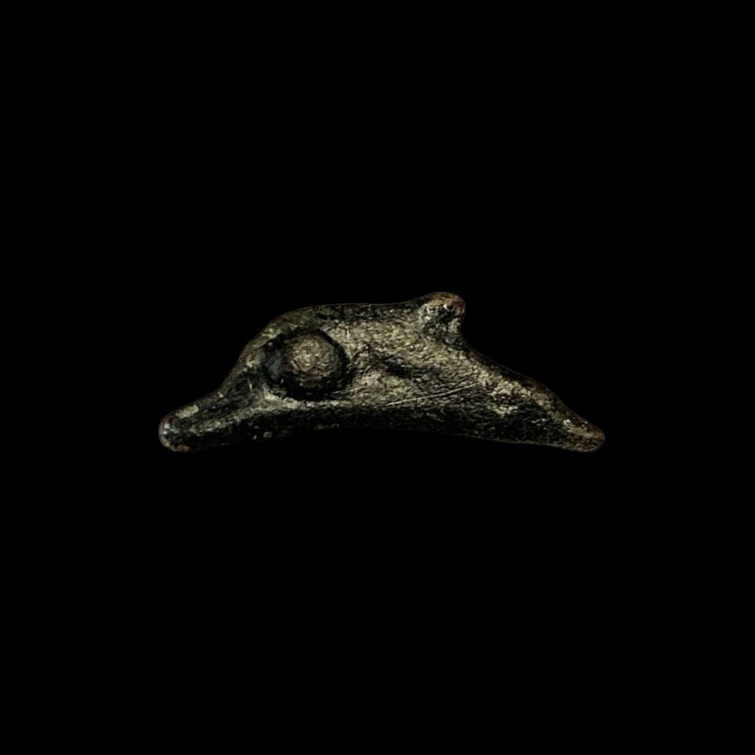 Dolphins of Olbia: Ancient Proto - Money from the Black Sea (about 2500 years ago) - Kinzer Coins