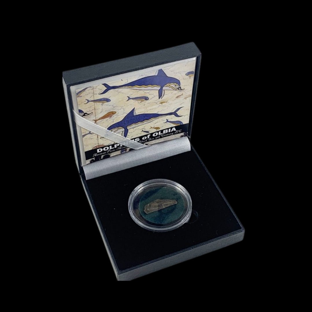 Dolphins of Olbia: Ancient Proto - Money from the Black Sea (about 2500 years ago) - Kinzer Coins
