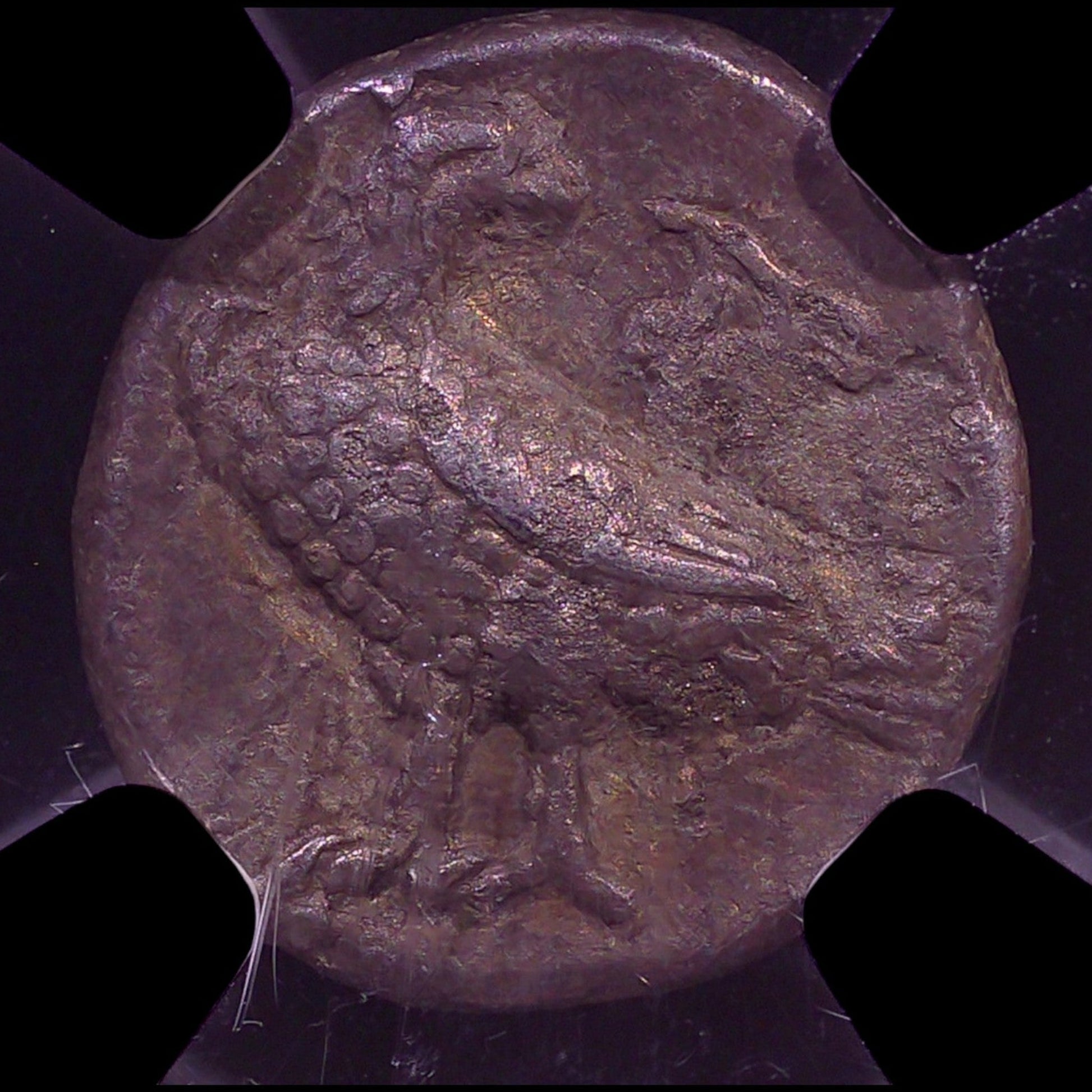 Frontier Silver of the Greek East — Bactrian Drachm - Kinzer Coins