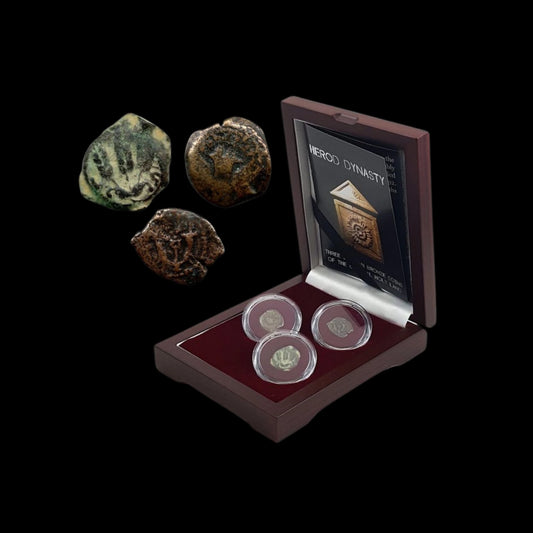 Herod Dynasty: Three Judaean Bronze Coins of the Biblical Holy Land - Kinzer Coins