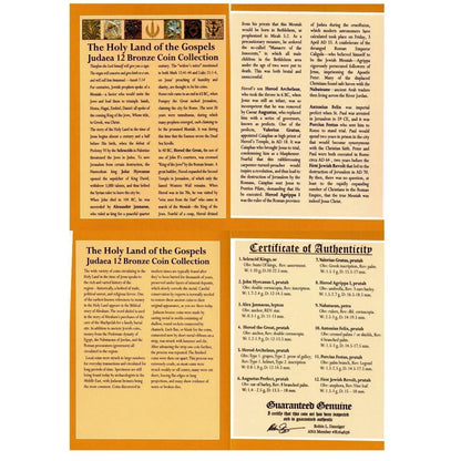 Holy Land Relics – Twelve Ancient Coins of Judaea from the Time of Jesus (1st Century BC – 1st Century AD) - Kinzer Coins