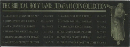 Holy Land Relics – Twelve Ancient Coins of Judaea from the Time of Jesus (1st Century BC – 1st Century AD) - Kinzer Coins
