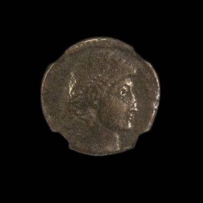House of Constantine: Collection of Five NGC - Certified Roman Bronze Coins (about 1680 - 1700 years ago) - Kinzer Coins
