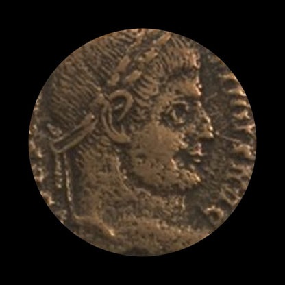 House of Constantine: Collection of Four NGC - Certified Roman Bronze Coins (about 1680 - 1700 years ago) - Kinzer Coins