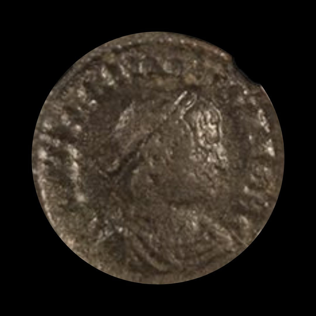 House of Constantine: Collection of Four NGC - Certified Roman Bronze Coins (about 1680 - 1700 years ago) - Kinzer Coins