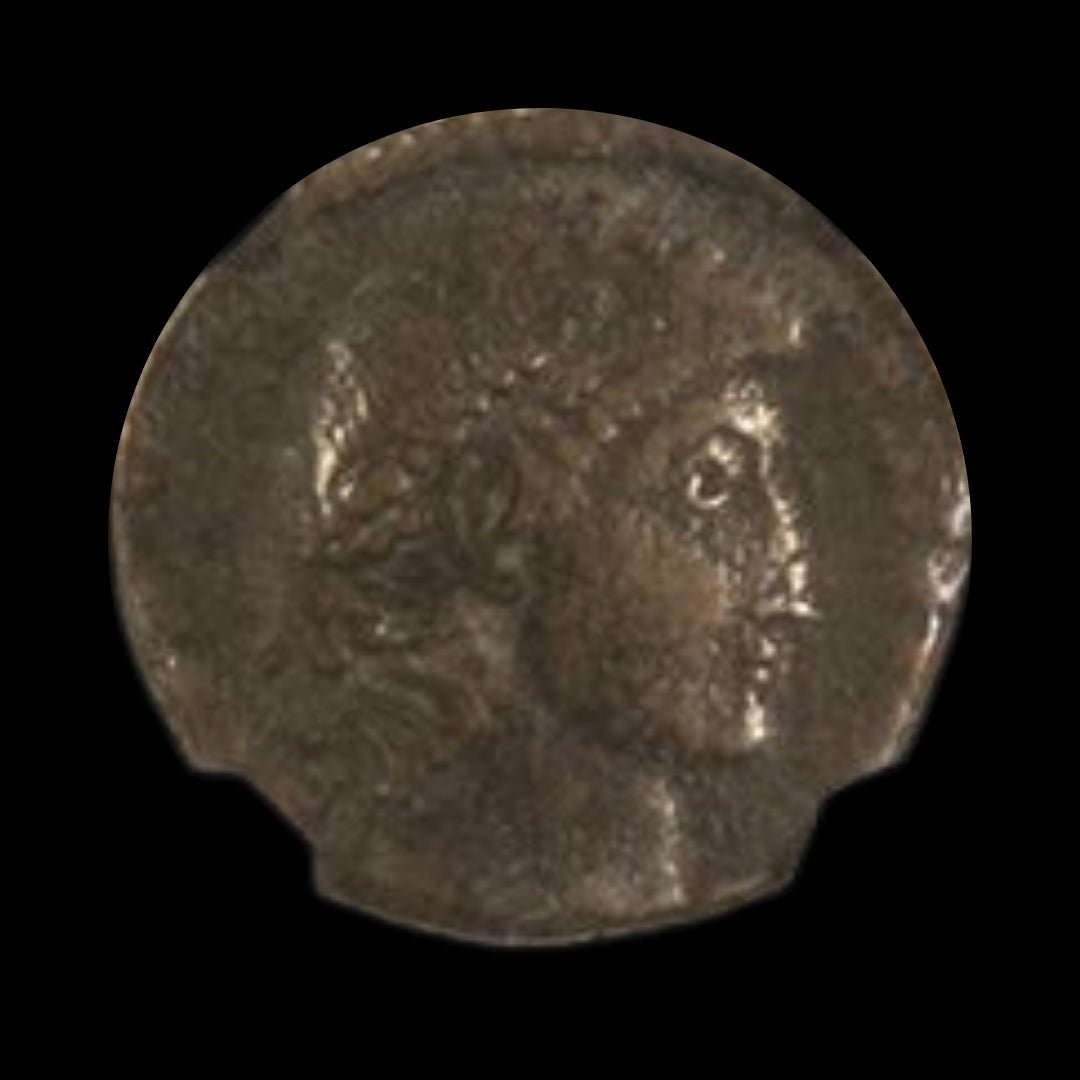 House of Constantine: Collection of Four NGC - Certified Roman Bronze Coins (about 1680 - 1700 years ago) - Kinzer Coins