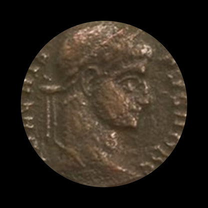 House of Constantine: Collection of Four NGC - Certified Roman Bronze Coins (about 1680 - 1700 years ago) - Kinzer Coins