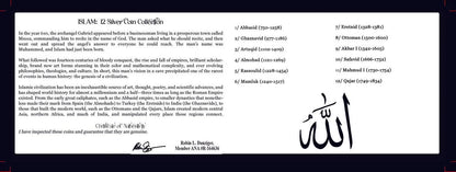 Islamic Silver Coins: Collection of 12 Coins (about 800 - 1300 years ago) - Kinzer Coins