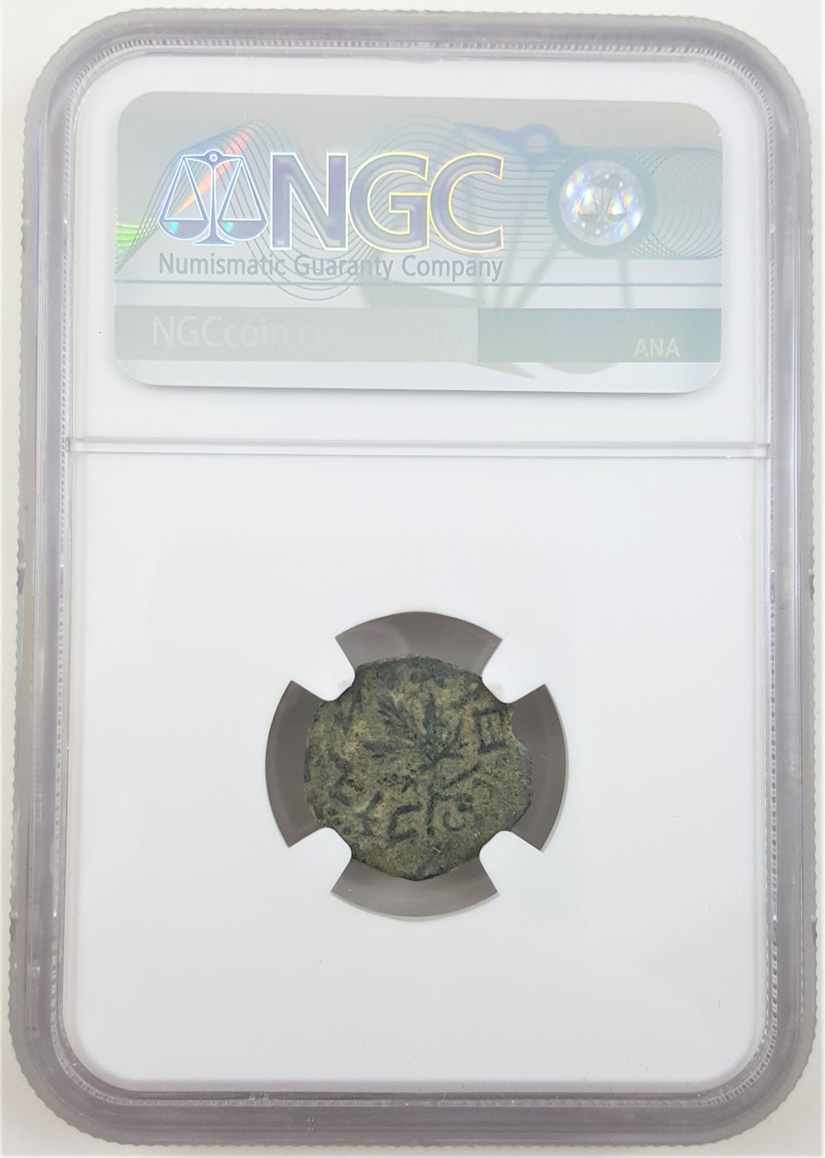 Judaean Rebel Bronze Coin — Masada — representative supplier photograph 2