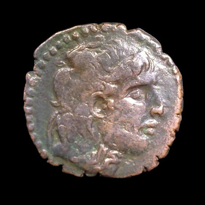 Najm al-Din Alpi Bronze Dirham — Seleucid Portrait Type - Kinzer Coins