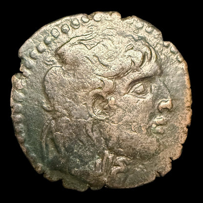 Najm al - Din Alpi Bronze Dirham — Seleucid Portrait Type - Kinzer Coins