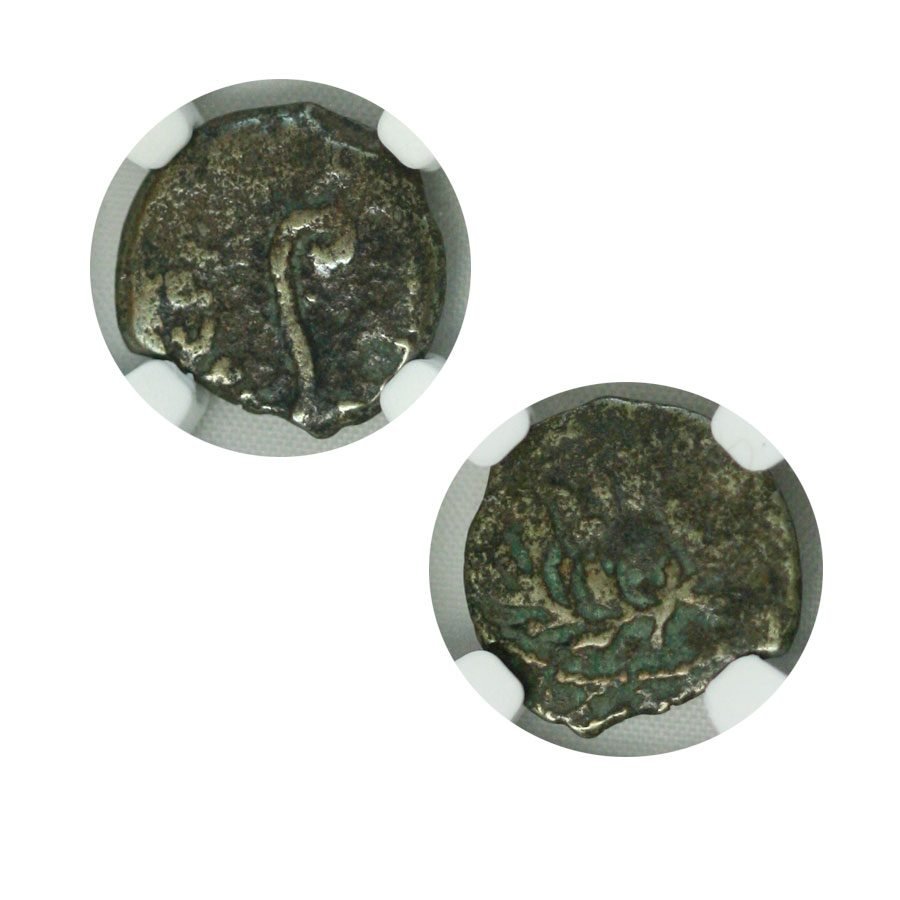 Pontius Pilate Judaean Bronze Prutah — NGC - Kinzer Coins
