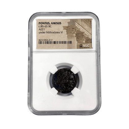 Pontus, Amisos Bronze — Dionysus Prosperity & Divine Favor Type, Struck Under Mithradates VI, NGC - Certified - Kinzer Coins