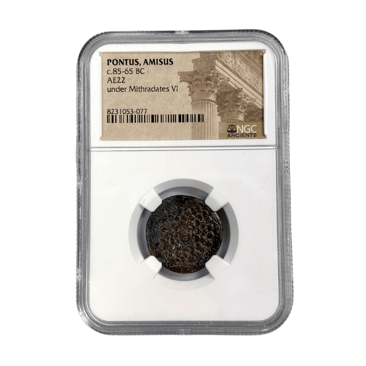 Pontus, Amisos Bronze — Gorgon Head Apotropaic Issue, Struck Under Mithradates VI, NGC - Certified - Kinzer Coins
