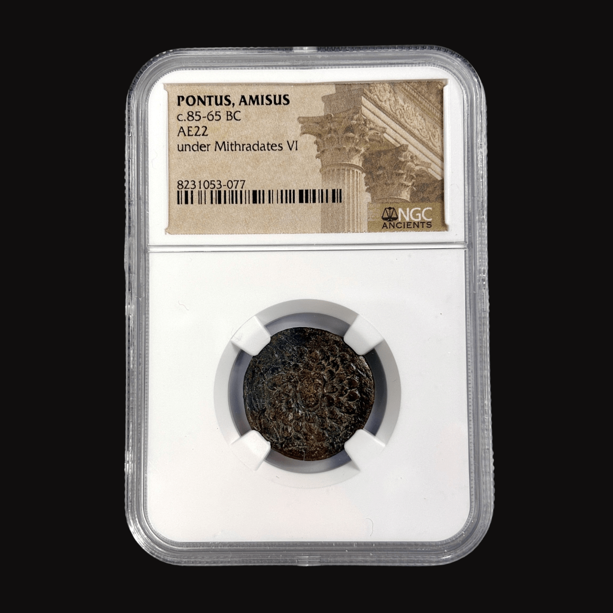 Pontus, Amisos Bronze — Gorgon Medusa Type, Struck Under Mithradates VI, NGC - Certified - Kinzer Coins