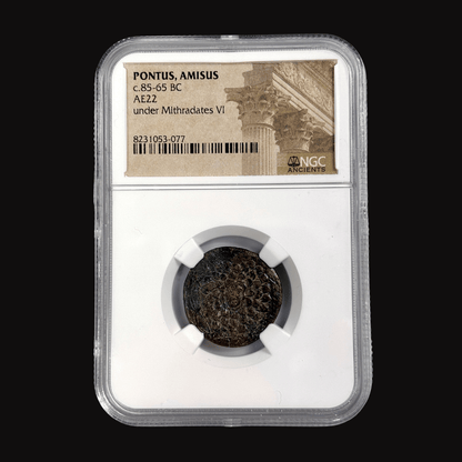 Pontus, Amisos Bronze — Gorgon Medusa Type, Struck Under Mithradates VI, NGC - Certified - Kinzer Coins