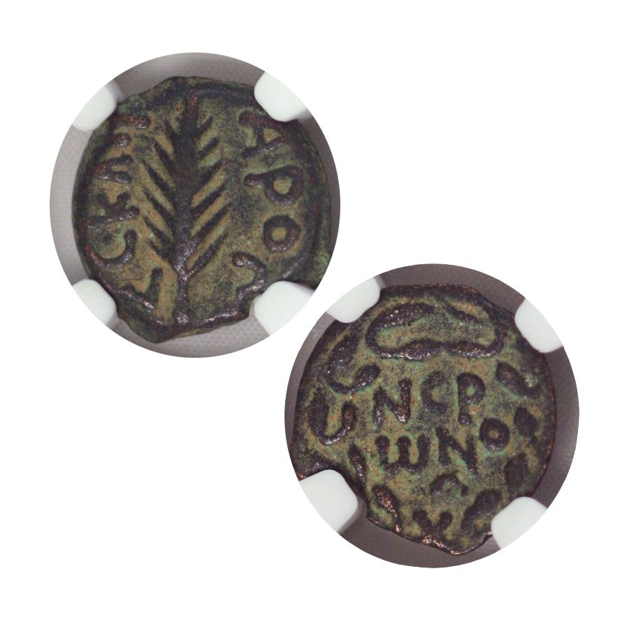 Porcius Festus Judaean Bronze Prutah — representative supplier photograph 3