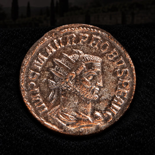 Probus Ancient Roman Antoninianus — Restorer After the Crisis (AD 276–282) — NGC Certified - Kinzer Coins