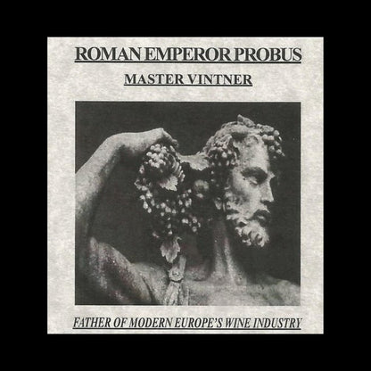 Probus Box: Father Of Modern Europe's Wine Industry (about 1750 years ago) - Kinzer Coins