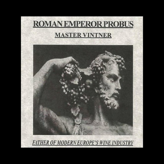 Probus Box: Father Of Modern Europe's Wine Industry (about 1750 years ago) - Kinzer Coins