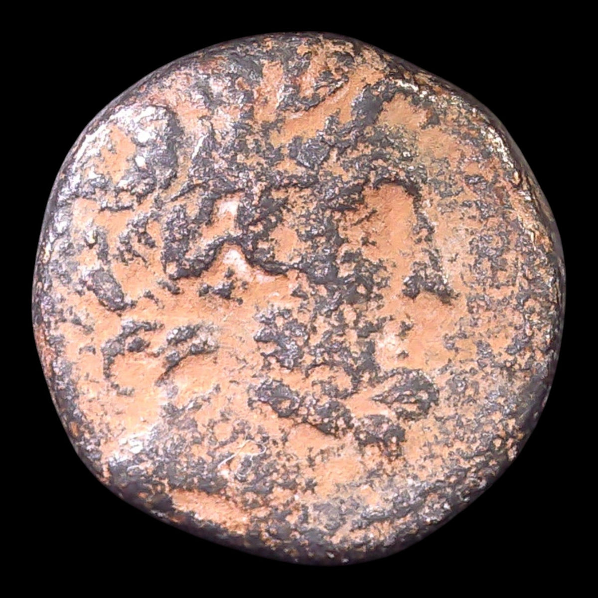 Publius Quinctilius Varus Ancient Bronze | Antioch, Syria | 5–4 BC - Kinzer Coins