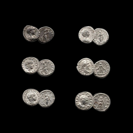 Rome's Three Julias: Severan Dynasty Six - Coin Collection - Kinzer Coins
