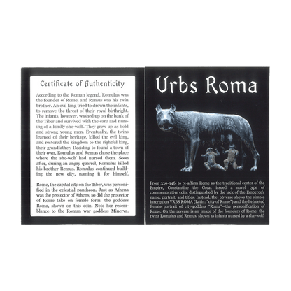 Romulus & Remus Roman Bronze – Urbs Roma She-Wolf – NGC Certified - Kinzer Coins