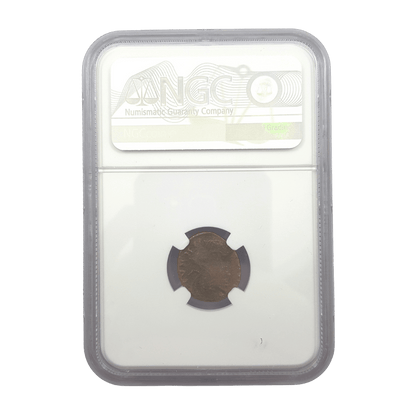 Romulus & Remus Roman Bronze – Urbs Roma She-Wolf – NGC Certified - Kinzer Coins
