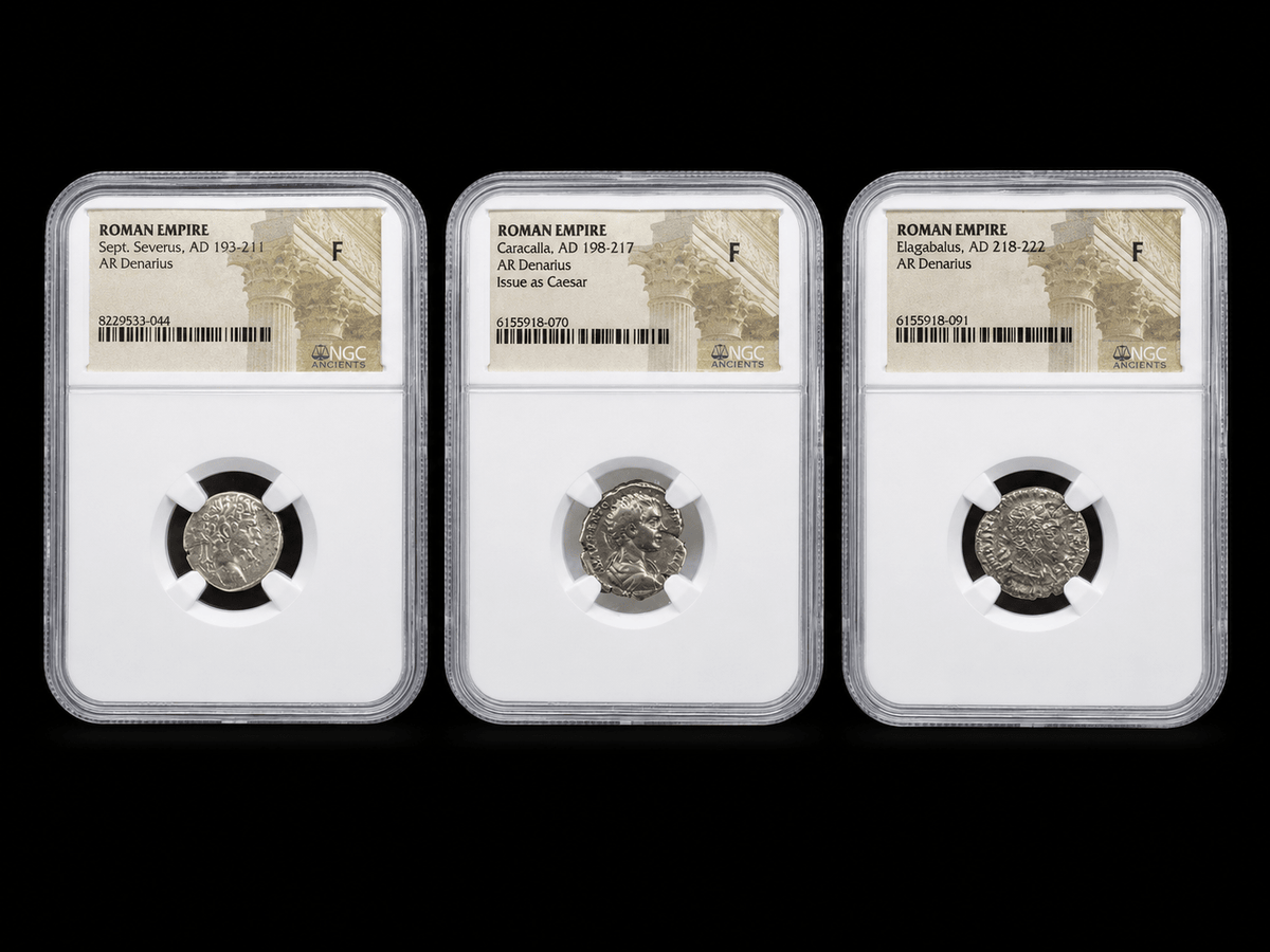 Severan Silver Dynasty Starter Pack — Three Roman Silver Coins - Kinzer Coins