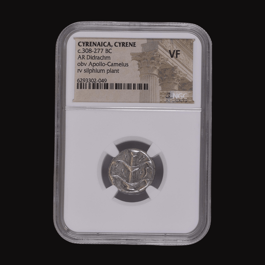 The Lost Plant of the Ancient World — Cyrene Silver Didrachm - Kinzer Coins