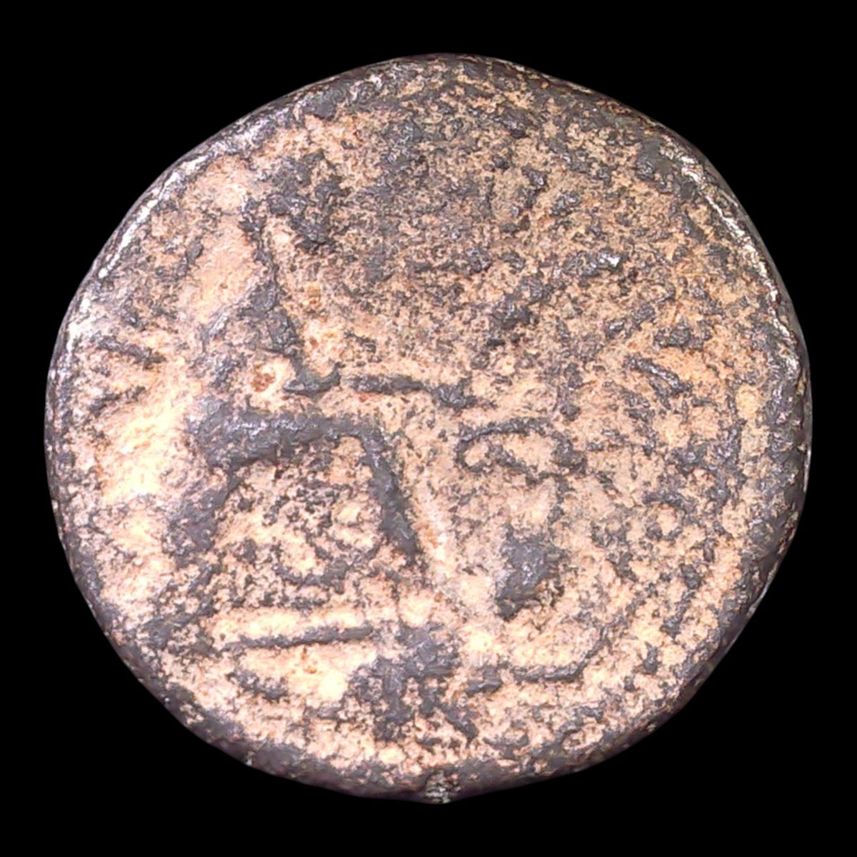 Varus, Governor of Syria | Ancient Antioch Bronze Coin | 6–5 BC - Kinzer Coins
