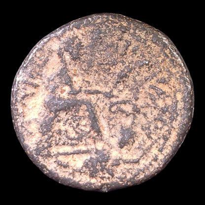 Varus, Governor of Syria | Ancient Antioch Bronze Coin | 6–5 BC - Kinzer Coins