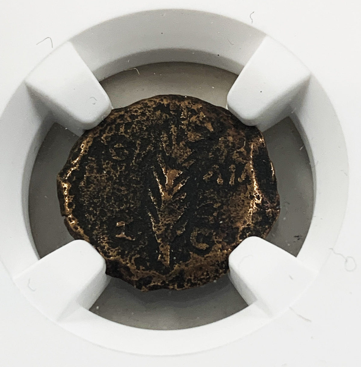 Valerius Gratus Judaean Bronze Prutah — representative supplier photograph 3