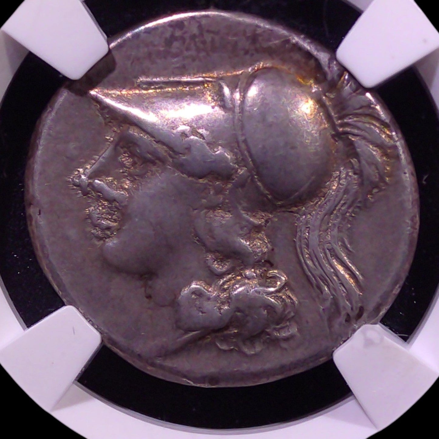 Victory in Motion — Cales Silver Didrachm of Campania - Kinzer Coins